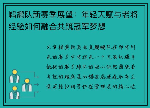 鹈鹕队新赛季展望：年轻天赋与老将经验如何融合共筑冠军梦想